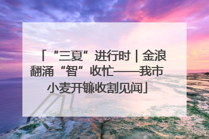 “三夏”进行时｜金浪翻涌“智”收忙——我市小麦开镰收割见闻